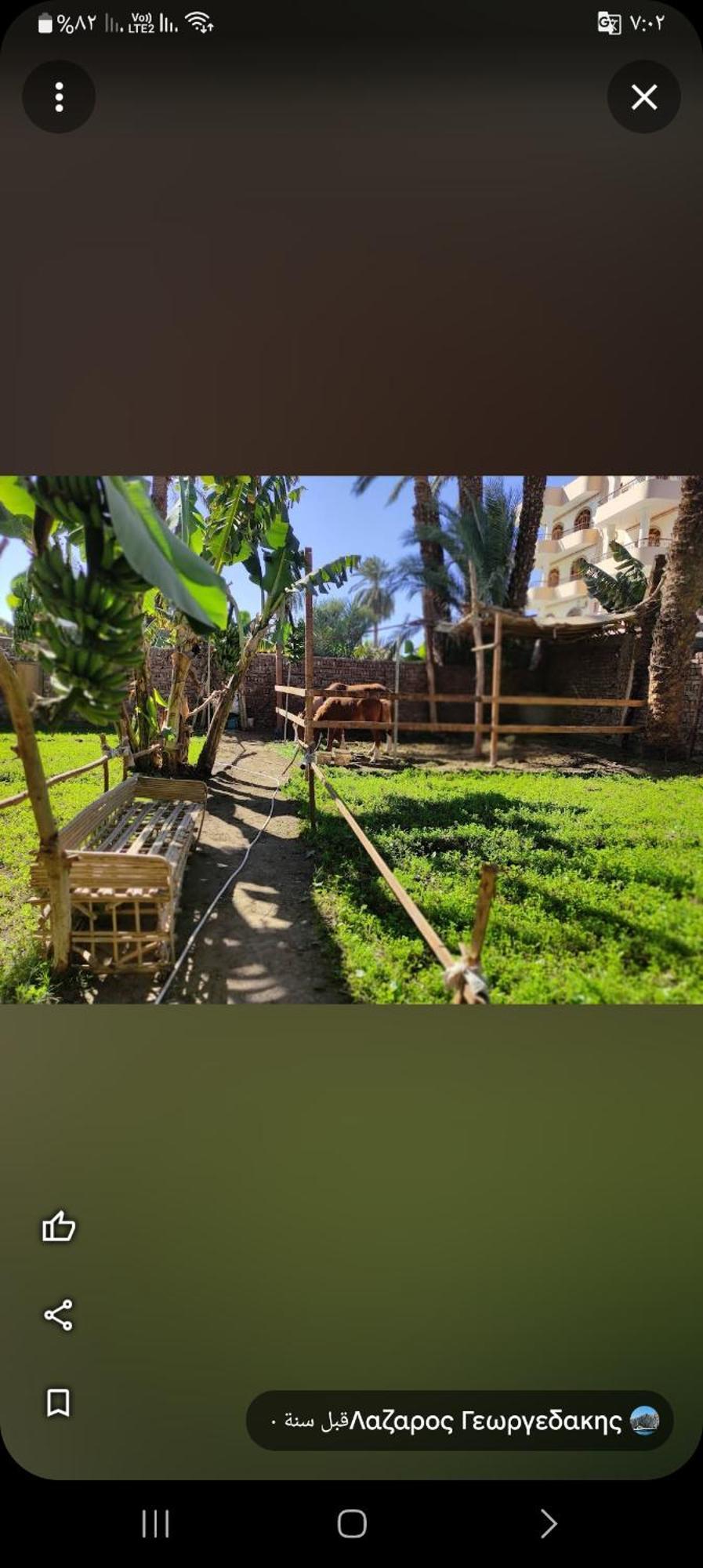 Villa Rebecca Professor'S Paradise Luksor Dış mekan fotoğraf