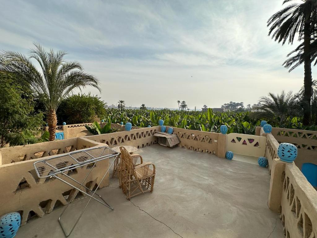 Villa Rebecca Professor'S Paradise Luksor Dış mekan fotoğraf