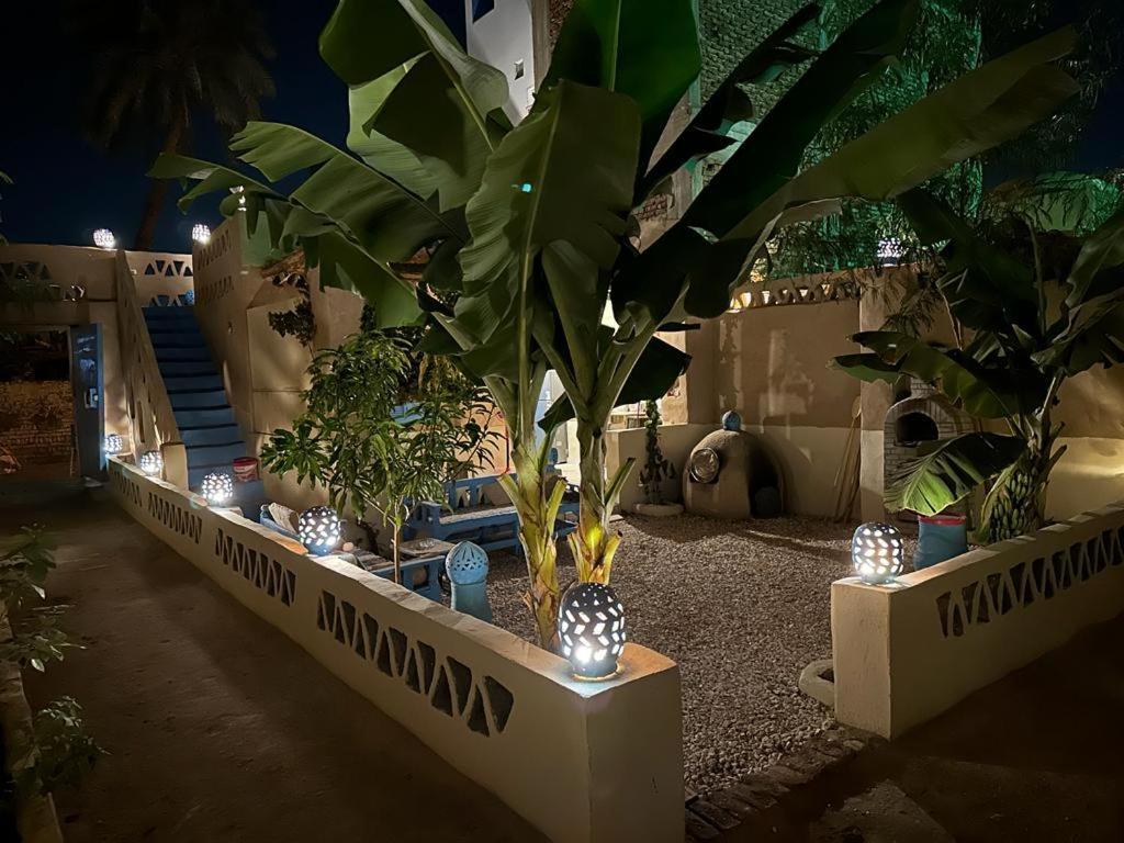 Villa Rebecca Professor'S Paradise Luksor Dış mekan fotoğraf