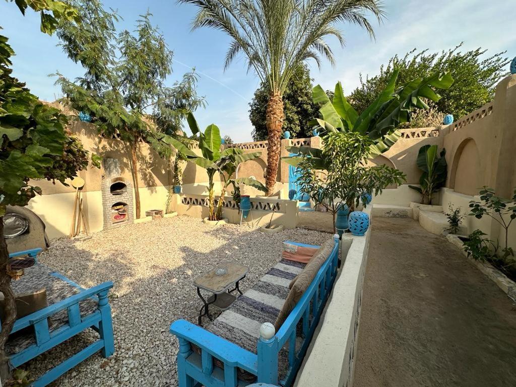 Villa Rebecca Professor'S Paradise Luksor Dış mekan fotoğraf