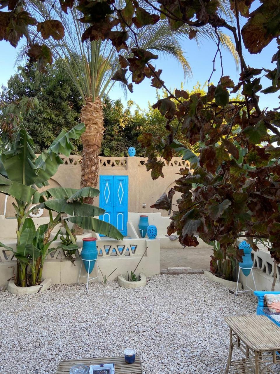 Villa Rebecca Professor'S Paradise Luksor Dış mekan fotoğraf